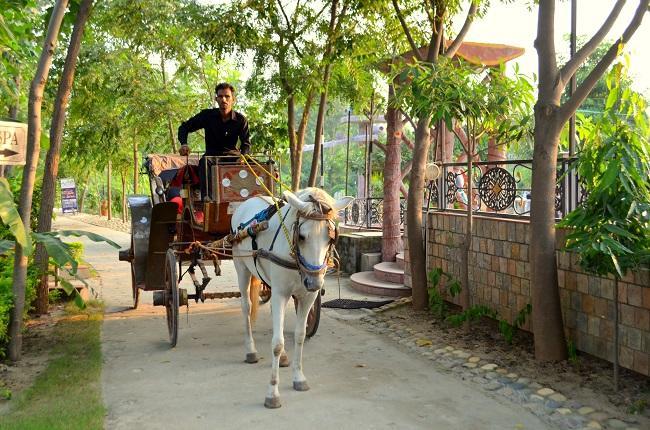 Kangs Nirvana Resorts And Spa Mahalpur Dış mekan fotoğraf