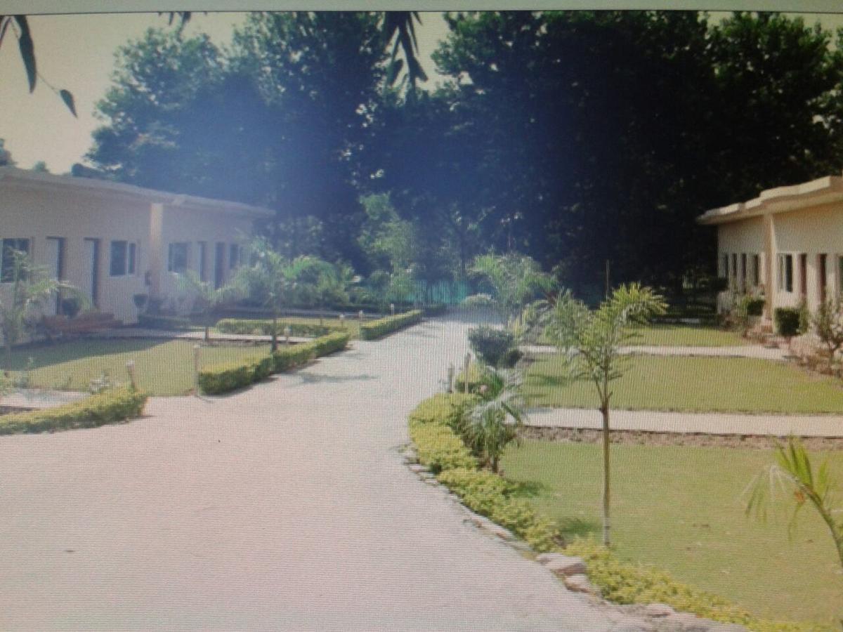 Kangs Nirvana Resorts And Spa Mahalpur Dış mekan fotoğraf